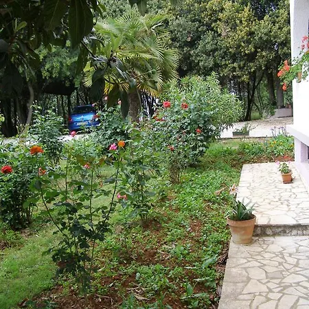 Apartment Ada