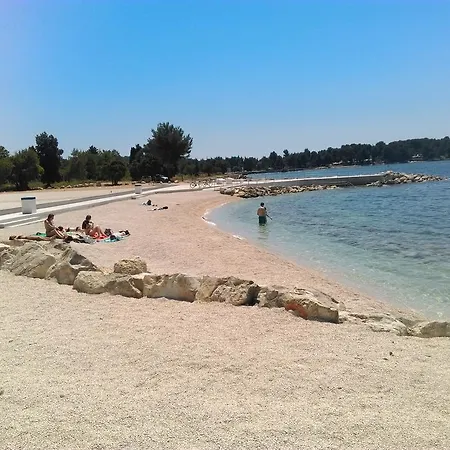 Ada Pula